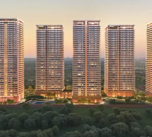 max estate 360 (2)